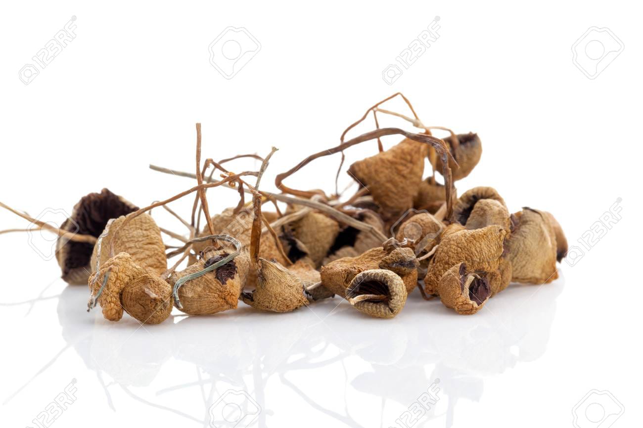 Liberty Caps - Image 2