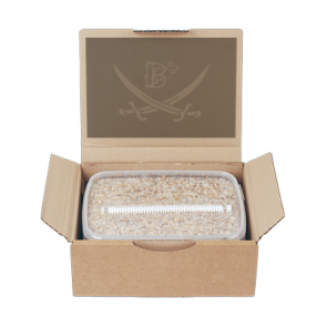 Magic Mushroom Grow Kit B+