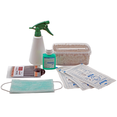 Mushroom Grow Kit Starter Pack