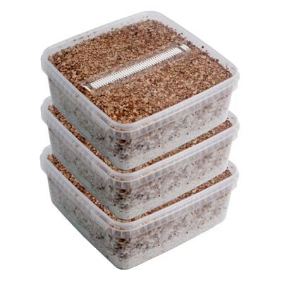 Three Extra Large Grow Kits Package deal