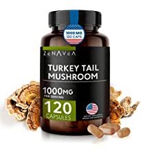 Turkey Tail Mushroom Capsules