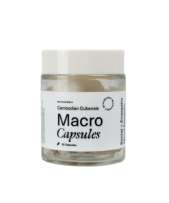 CAMBODIAN CUBENSIS CAPSULES.