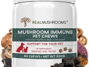 Medicinal Mushrooms for Pets