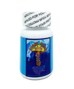 Mycology Masters Concentration & Focus 3000mg