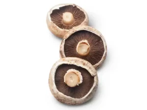 Portobello Mushroom (Agaricus bisporus)