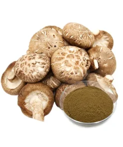 AHCC (Active Hexose Correlated Compound) Powder