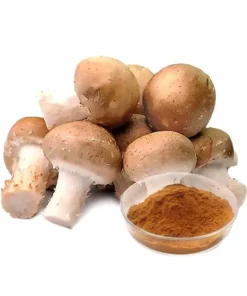 Agaricus Blazei Mushroom Extract