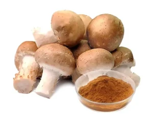 Agaricus Blazei Mushroom Extract