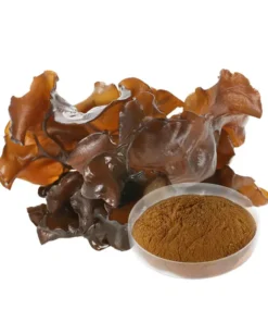 Black Fungus Extract