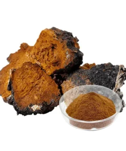 Chaga Extract Powder