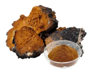 Chaga Extract Powder