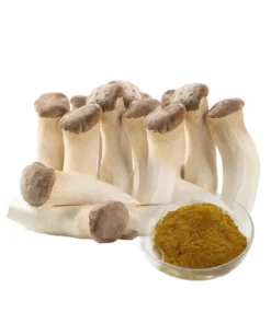 Coprinus Comatus Extract