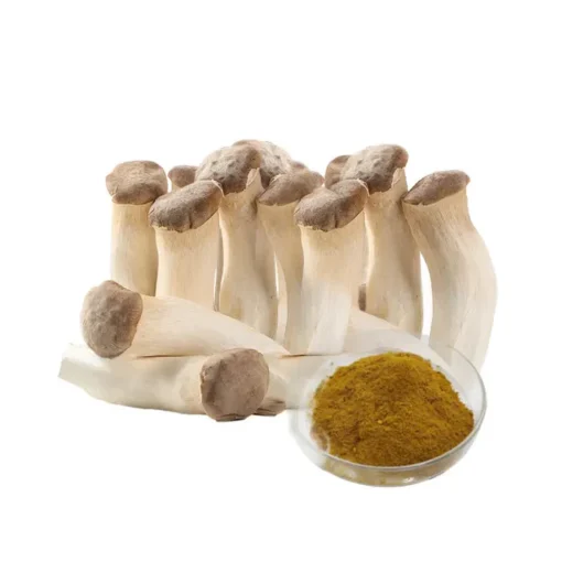 Coprinus Comatus Extract