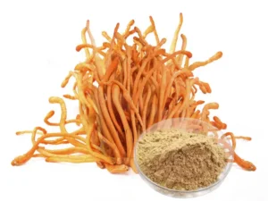 Cordyceps Militaris Extract