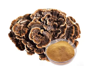 Turkey Tail Mushroom Extract