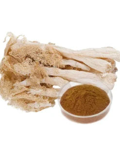 Dictyophora Indusiata Extract