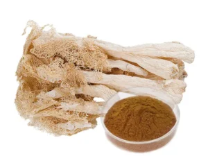 Dictyophora Indusiata Extract
