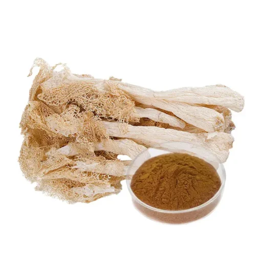 Dictyophora Indusiata Extract