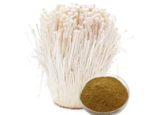 Enoki Mushroom Extract