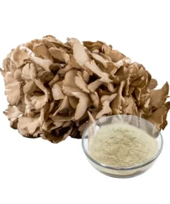 Maitake Mushroom Extract