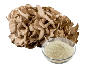 Grifola-Frondosa-_Maitake-Mushroom_-Extract-Mushroom-Extracts-16907925