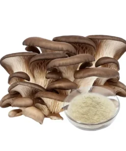 Oyster Mushroom Extract