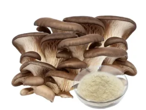 Oyster Mushroom Extract