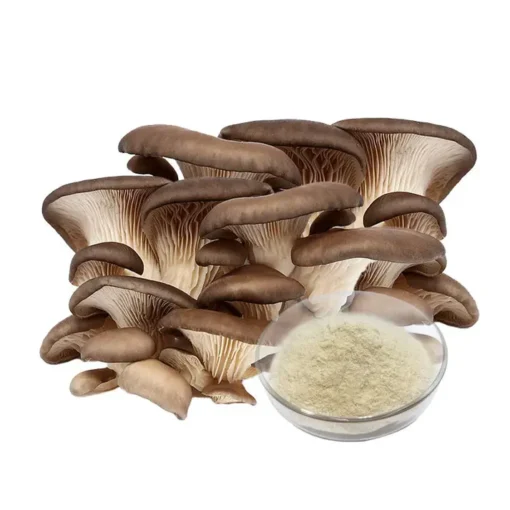 Oyster Mushroom Extract