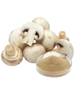 White Button Mushroom Extract