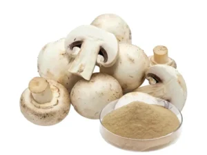 White Button Mushroom Extract