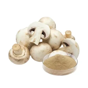 White Button Mushroom Extract