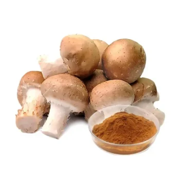 Agaricus Blazei Mushroom Extract