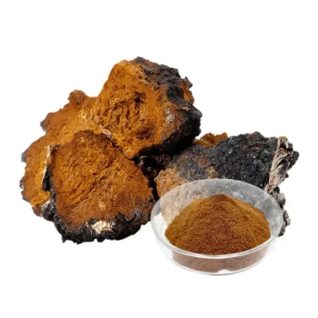Chaga Extract Powder