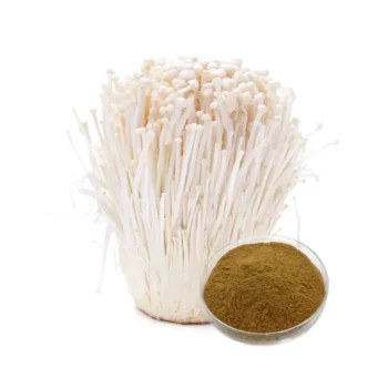 Enoki Mushroom Extract